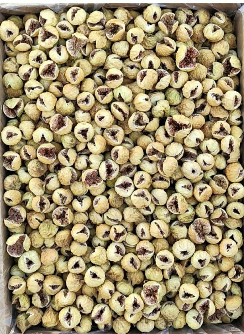 خرید عمده انجیر صدیک پرک + قیمت مستقیم تولید کننده